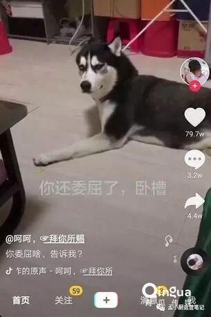 怎么做抖音？抖音6種運營推廣技巧！