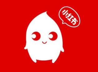 如何策劃一場高效益的小紅書推廣？